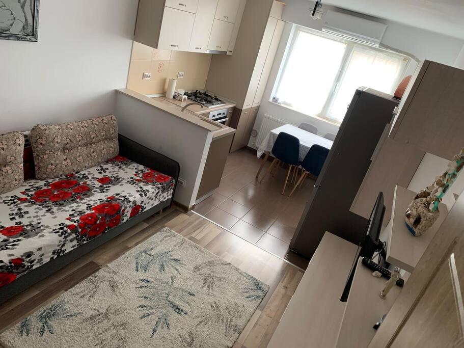 Lovely Bacau 1 Bedroom Apartment Buitenkant foto