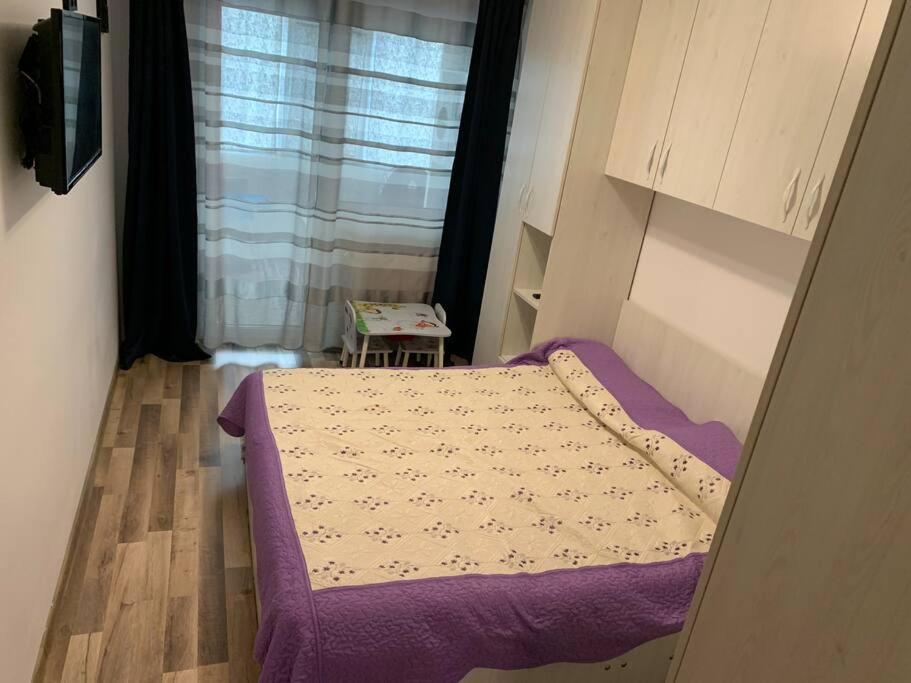 Lovely Bacau 1 Bedroom Apartment Buitenkant foto